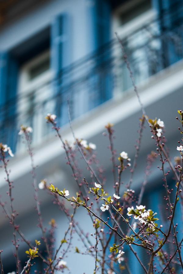 Bahar Boutique Hotel 塞萨洛尼基 外观 照片